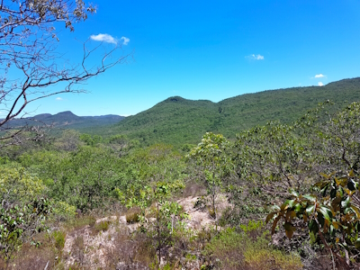 Cerrado Protected Areas