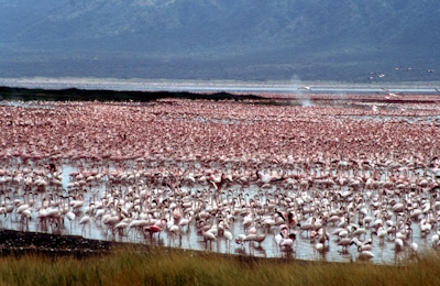 Kenya Lake System