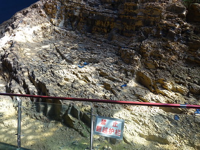 Chengjiang Fossil Site