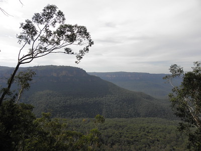 Greater Blue Mountains