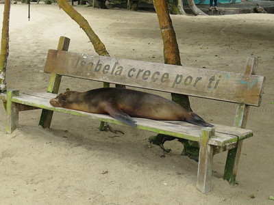 Galapagos Islands