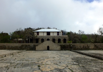 First Coffee Plantations