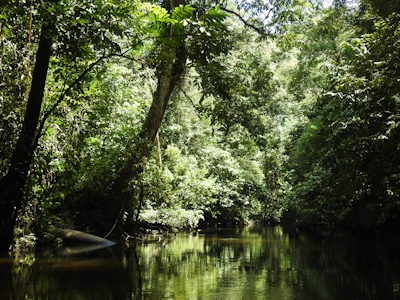 Gunung Mulu