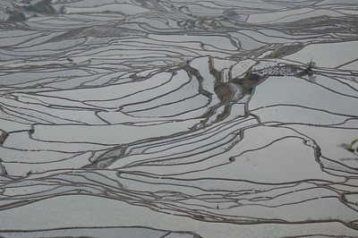 Hani Rice Terraces