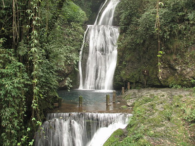 Sichuan Giant Panda Sanctuaries