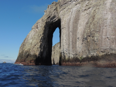 Malpelo