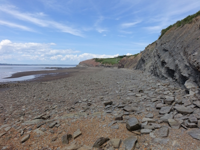 Joggins Fossil Cliffs