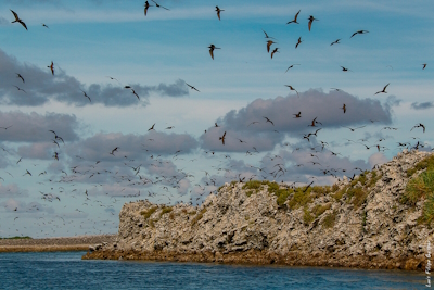 Phoenix Islands