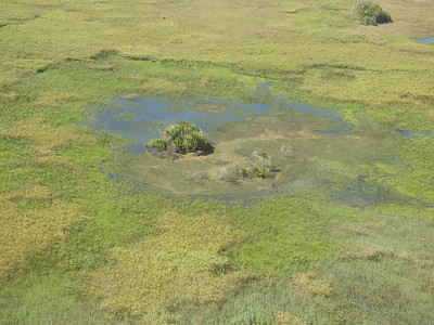 Okavango Delta