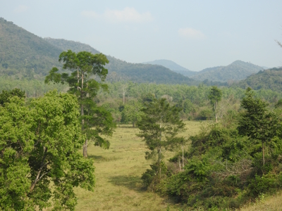 Kaeng Krachan Forest