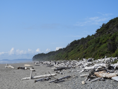 Olympic National Park