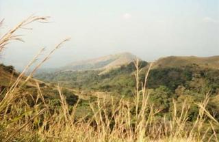 Mount Nimba