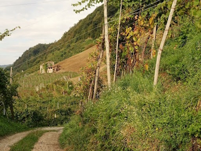 The Prosecco Hills