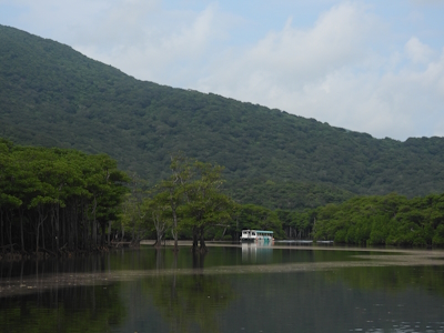 Amami-Oshima Island