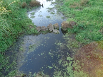 Budj Bim Cultural Landscape