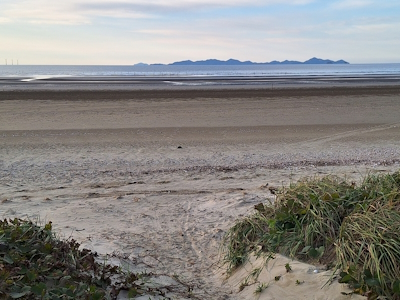 Getbol, Korean Tidal Flat