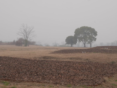 Liangzhu Archaeological Site