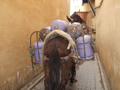 Medina of Fez