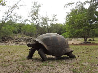 Aldabra Atoll