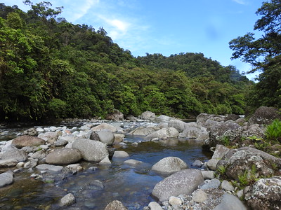 Talamanca Range-La Amistad Reserves