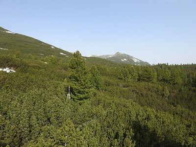 Pirin National Park