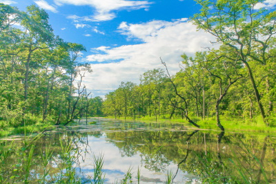 Chitwan National Park