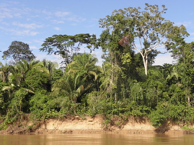 Manu National Park