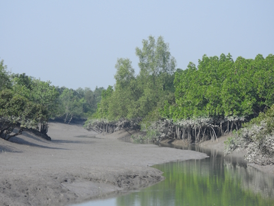 Sundarbans National Park