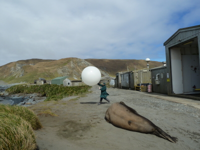 Macquarie Island