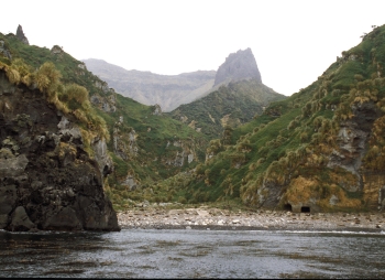 Gough and Inaccessible Islands