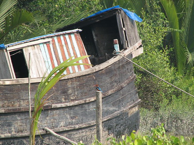 The Sundarbans