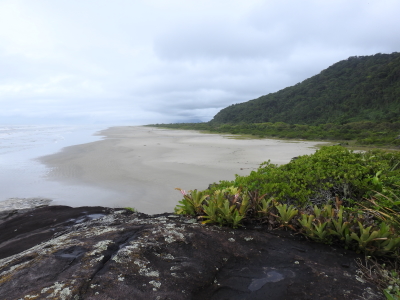 Atlantic Forest South-East