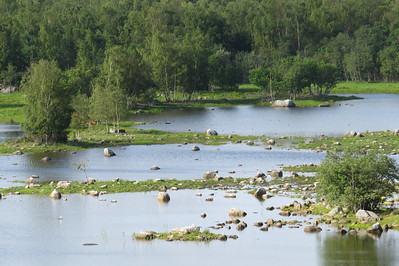 High Coast / Kvarken Archipelago