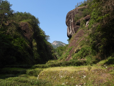 Mount Wuyi