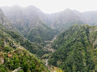 Laurisilva of Madeira